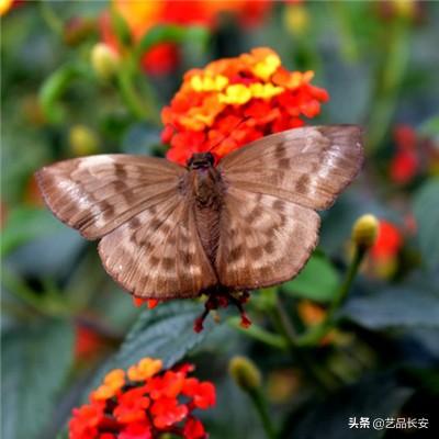 魔灵之旅2官方游戏下载