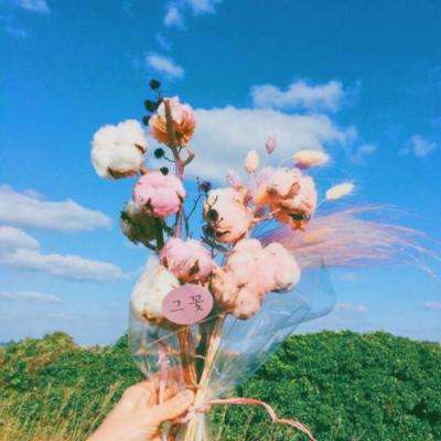 虚幻梦境变态版下载